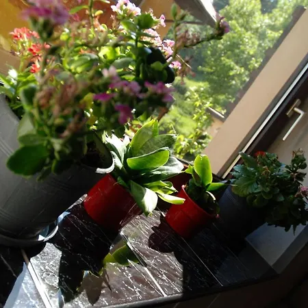 Bed and Breakfast Osrodek Wypoczynkowy Pod Stokiem 3*