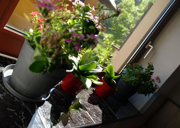 Frühstückspension Osrodek Wypoczynkowy Pod Stokiem 3*